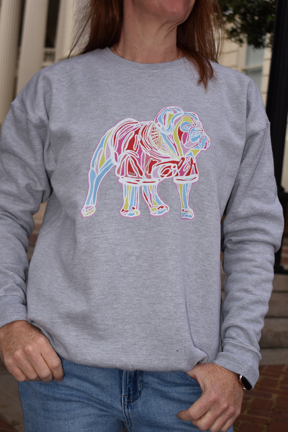 Person wearing a gray sweatshirt with a colorful bulldog design.