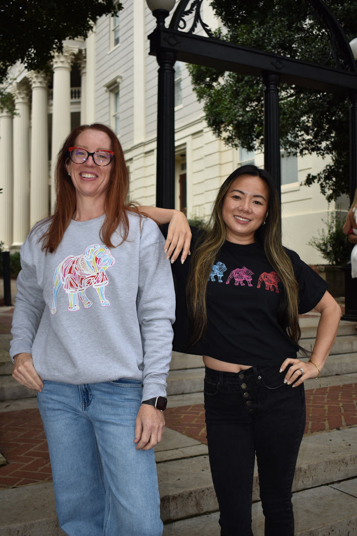 Two women standing on steps outdoors, wearing sweatshirts with colorful bulldog designs.
