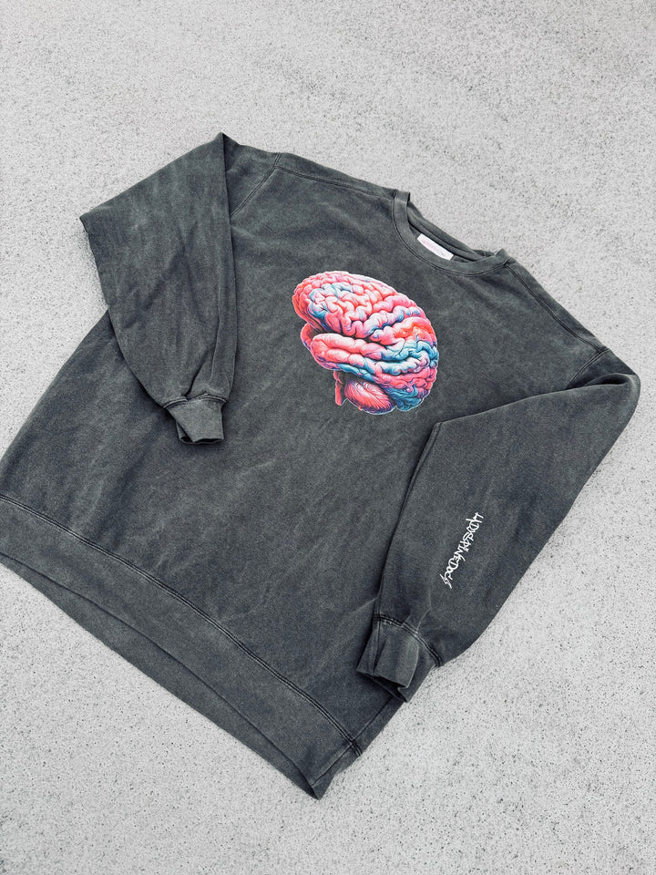 Gray sweatshirt with colorful brain on the front and white Ladyspinedoc logo on the left sleeve