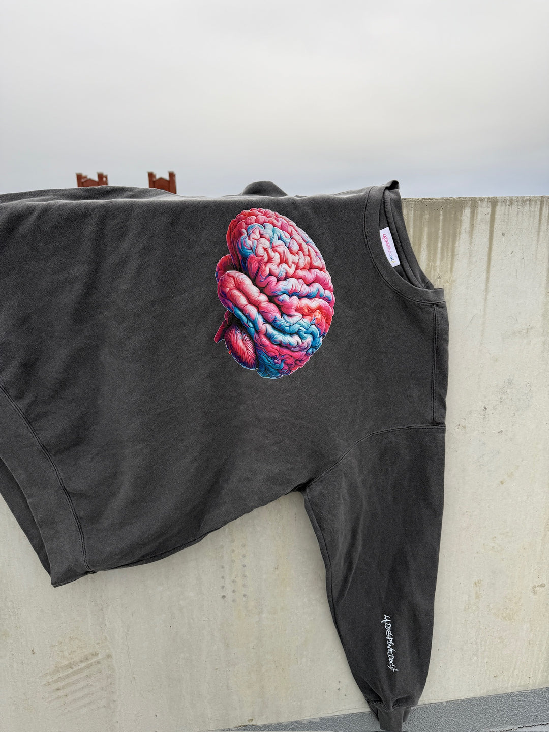 Gray sweatshirt with colorful brain on the front and white Ladyspinedoc logo on the left sleeve, hanging on a cement wall