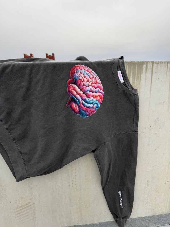 Gray sweatshirt with colorful brain on the front and white Ladyspinedoc logo on the left sleeve, hanging on a cement wall